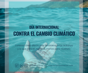 Día Internacional contra el Cambio Climático