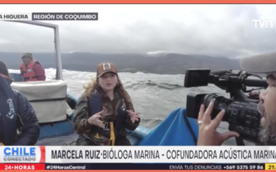 Reportaje de Acústica Marina en el programa «Chile Conectados» de TVN y Canal 24 horas